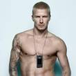 beckham_011